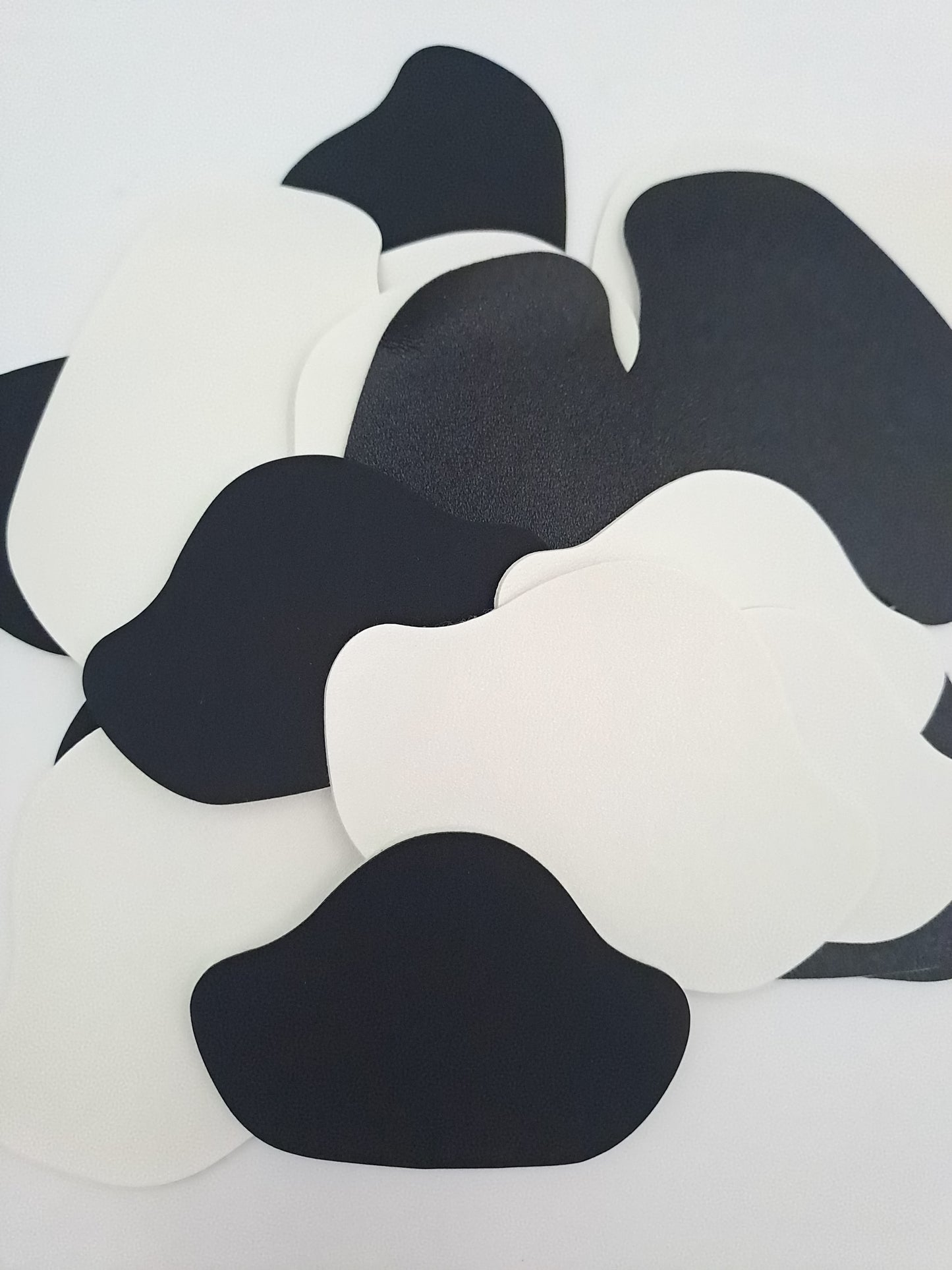 12 patchs talon